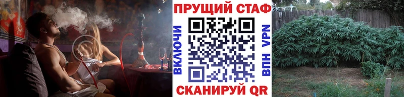 Виды наркоты Сенгилей Бошки Шишки  Кодеин  СОЛЬ  ГАШИШ  Меф 