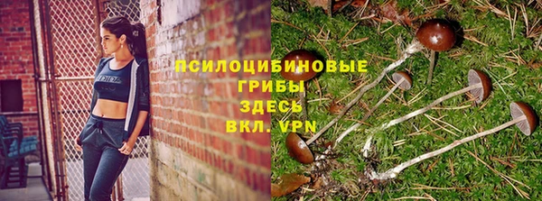дмт Белокуриха