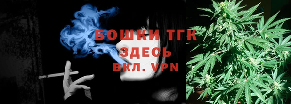 дмт Арсеньев