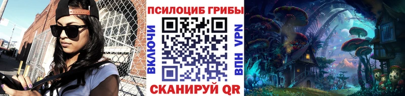 blacksprut ONION  Сенгилей  Галлюциногенные грибы Magic Shrooms 